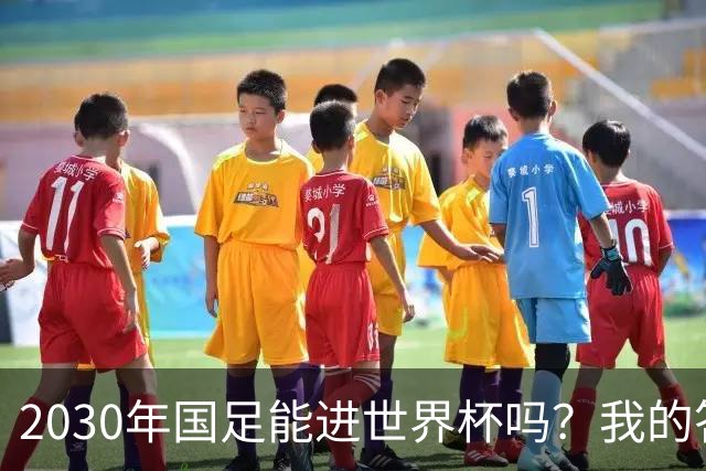 2030年国足能进世界杯吗？我的答案可能不太讨好，但是真话